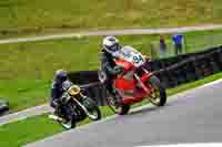 Vintage-motorcycle-club;eventdigitalimages;mallory-park;mallory-park-trackday-photographs;no-limits-trackdays;peter-wileman-photography;trackday-digital-images;trackday-photos;vmcc-festival-1000-bikes-photographs